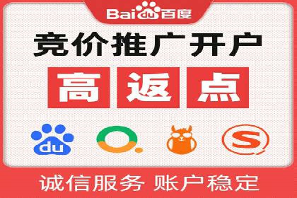 某企业SEM广告投放的ROI提升策略及效果展示